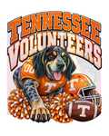 Tennessee Volunteers